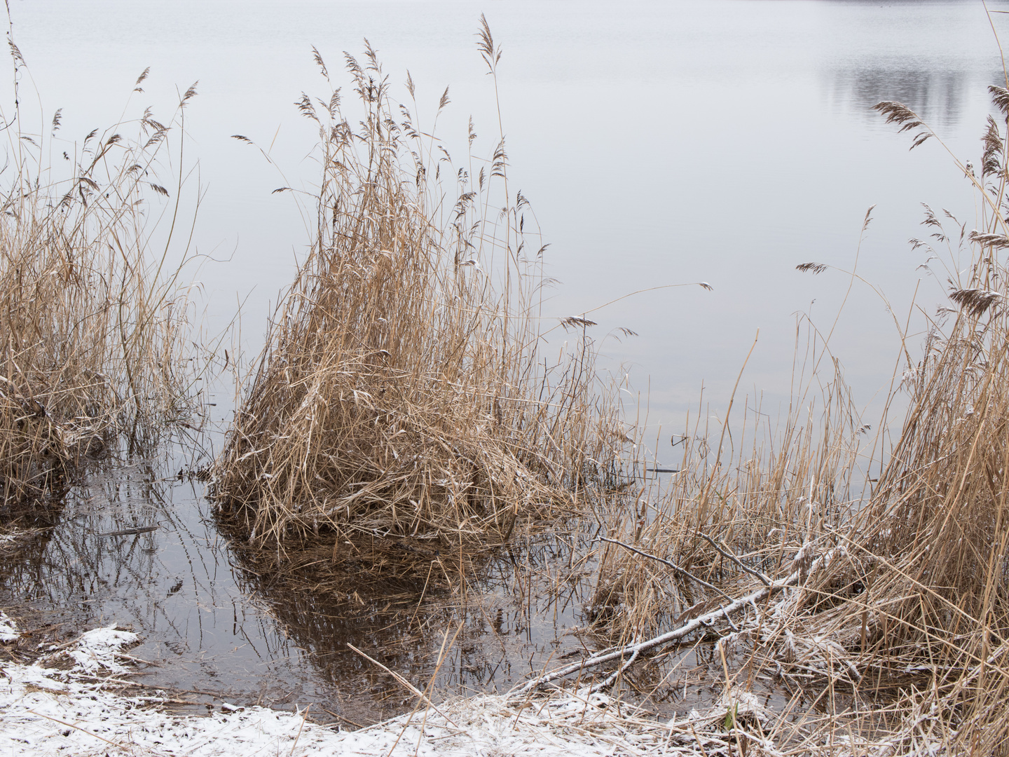 Winter am See