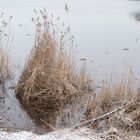 Winter am See