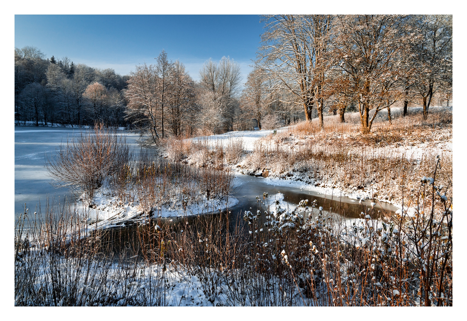 Winter am See