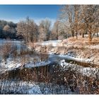 Winter am See