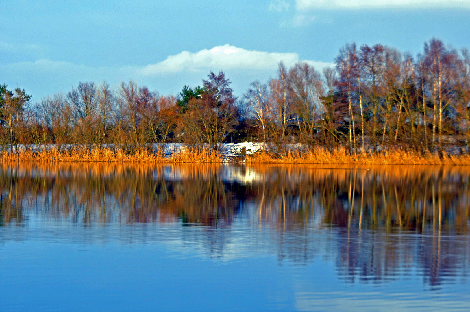 Winter am See