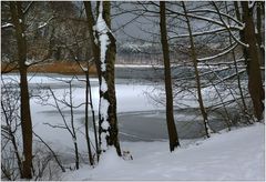 Winter am See