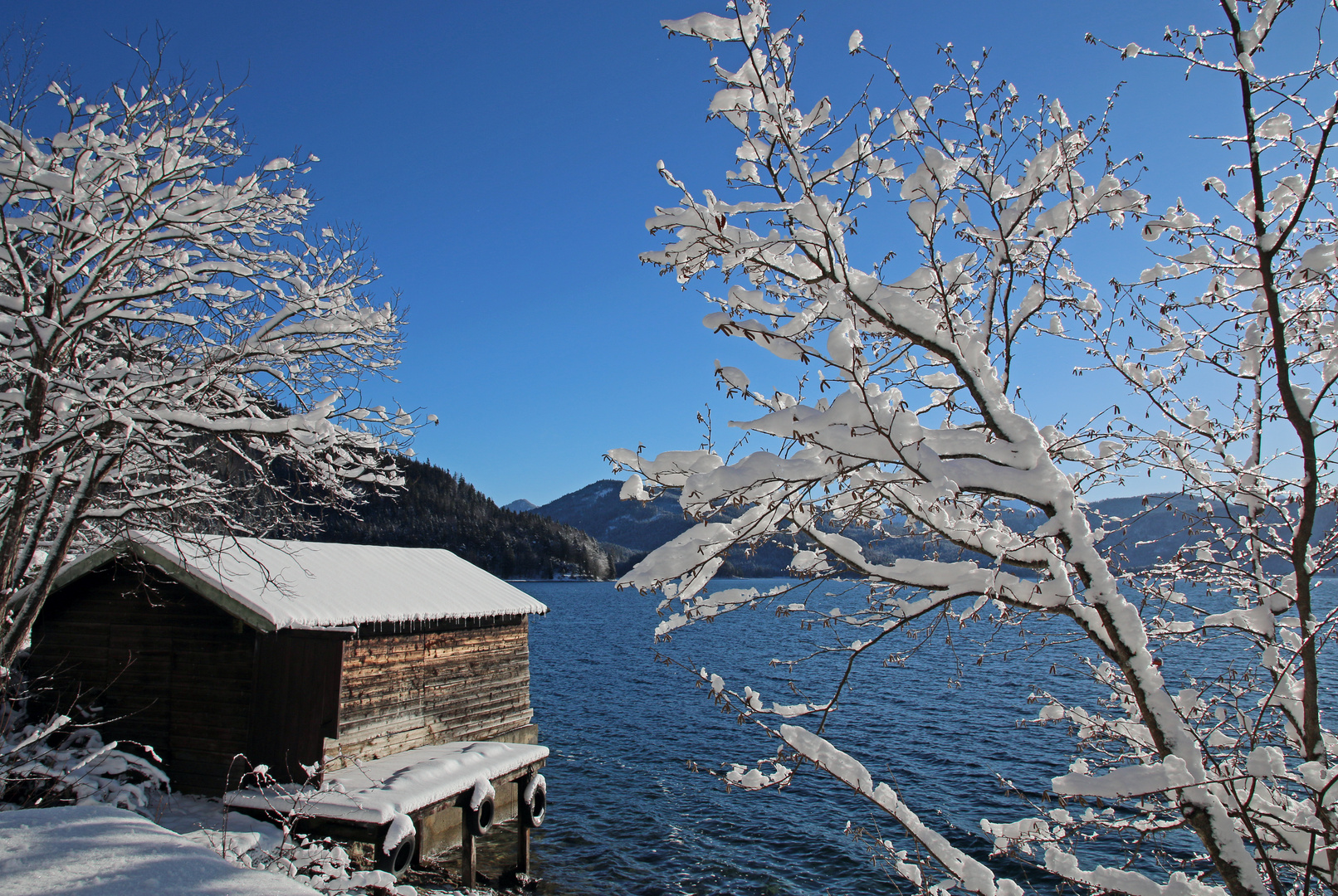 Winter am See