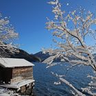 Winter am See