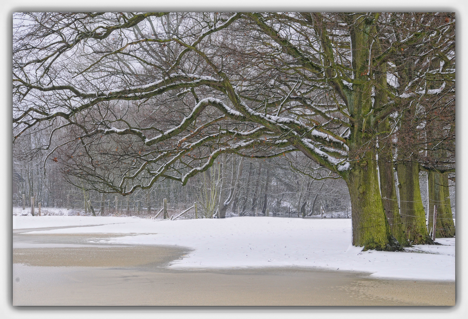 Winter am See