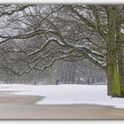 Winter am See