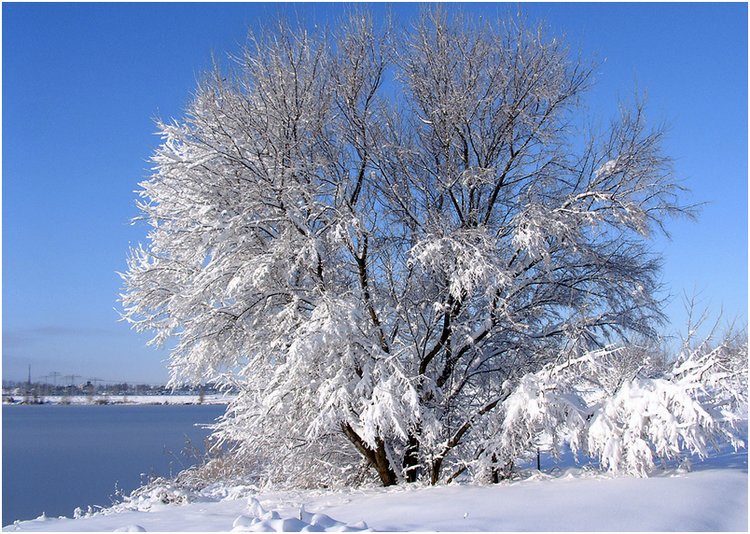 Winter am See ...