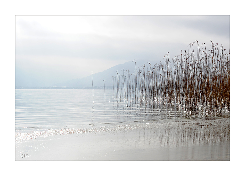 Winter am See  I..