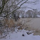 Winter am See (invierno en el lago)