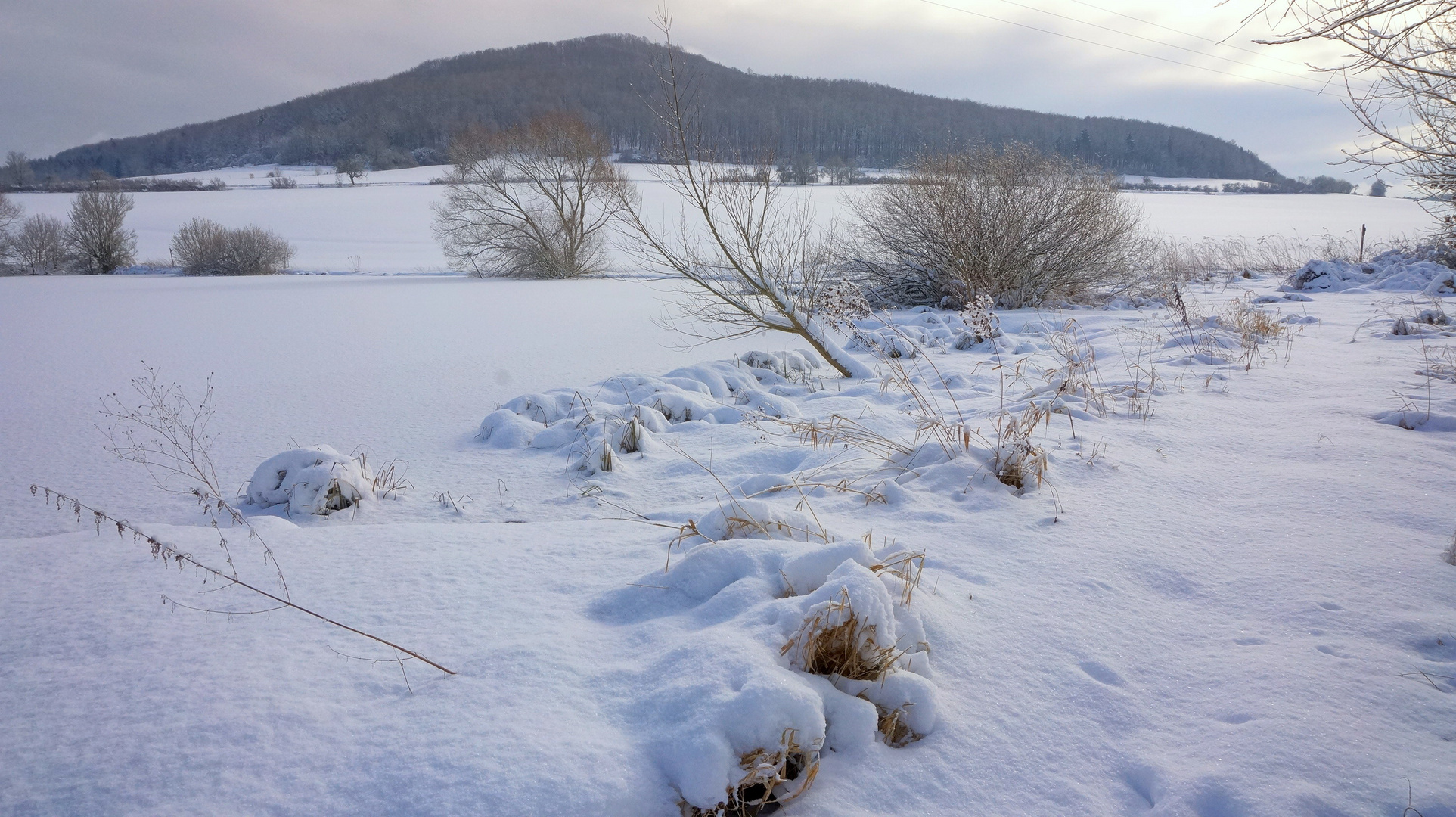 Winter am See (invierno en el lago)