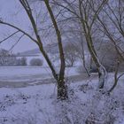 Winter am See (invierno en el lago)