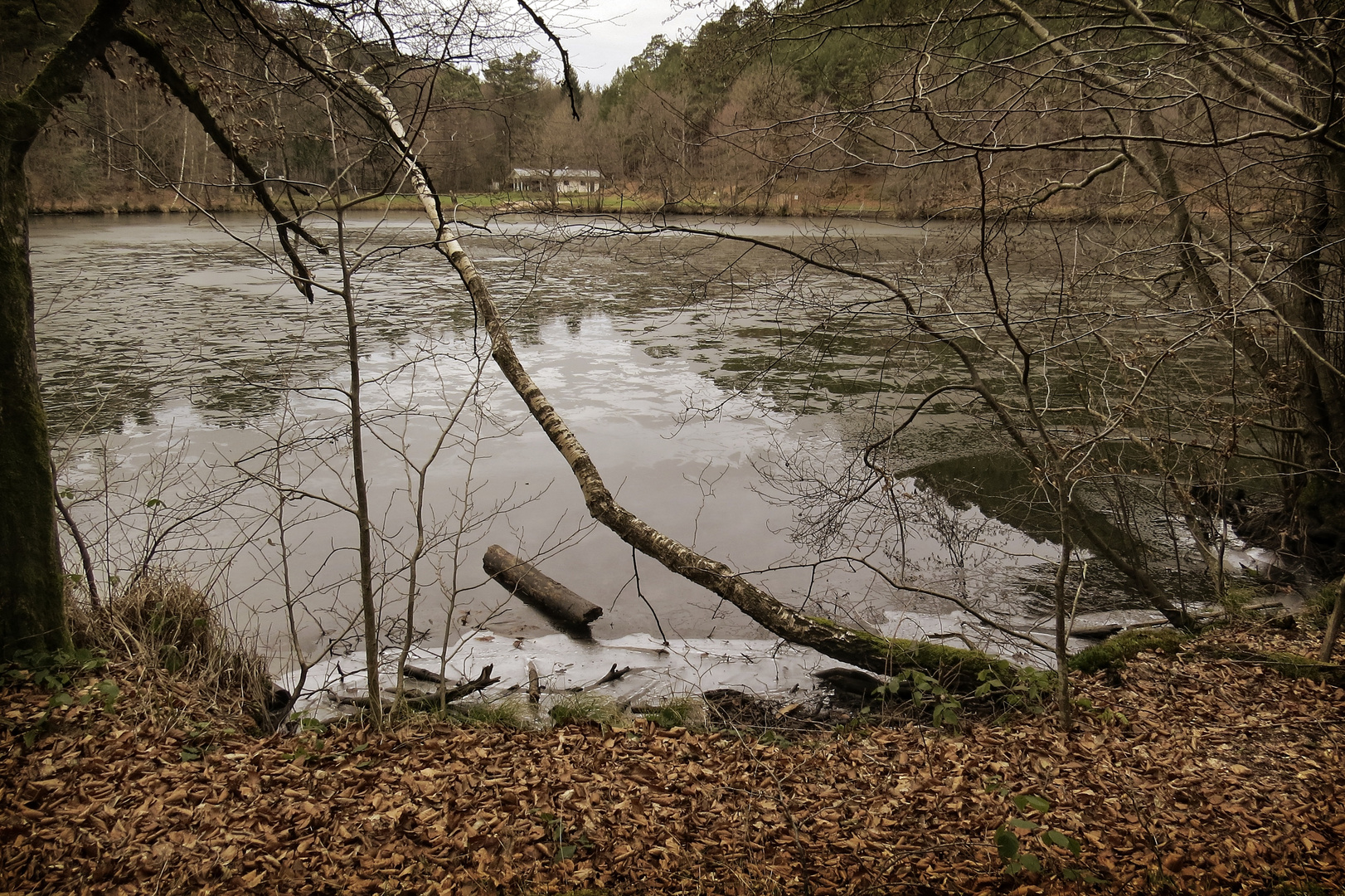 Winter am Seehof in Erlenbach Krs. Südwestpfalz