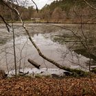 Winter am Seehof in Erlenbach Krs. Südwestpfalz