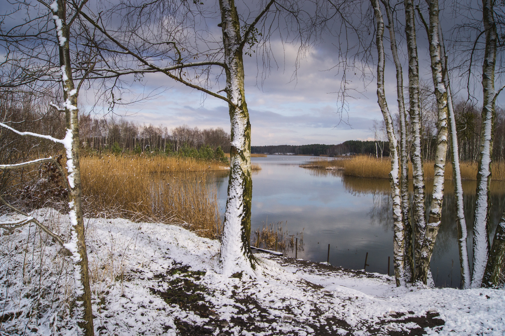 Winter am Senftenberger See