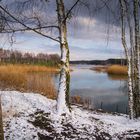 Winter am Senftenberger See