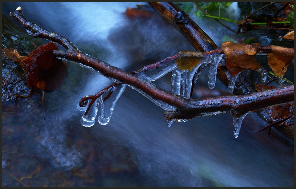 Winter am Sigruntsky potok