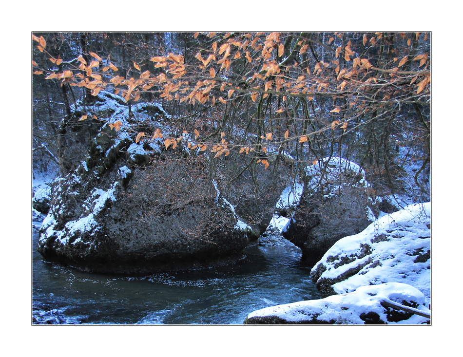 Winter am Sihlsprung