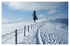 Winter am Sonnberg