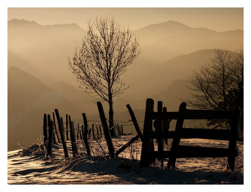 Winter am Sonnberg