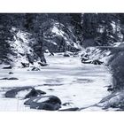 Winter am South Platte River