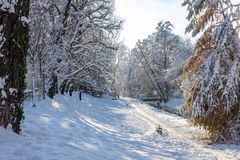 Winter am Stadtgraben