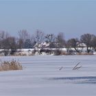 Winter am Stadtrand