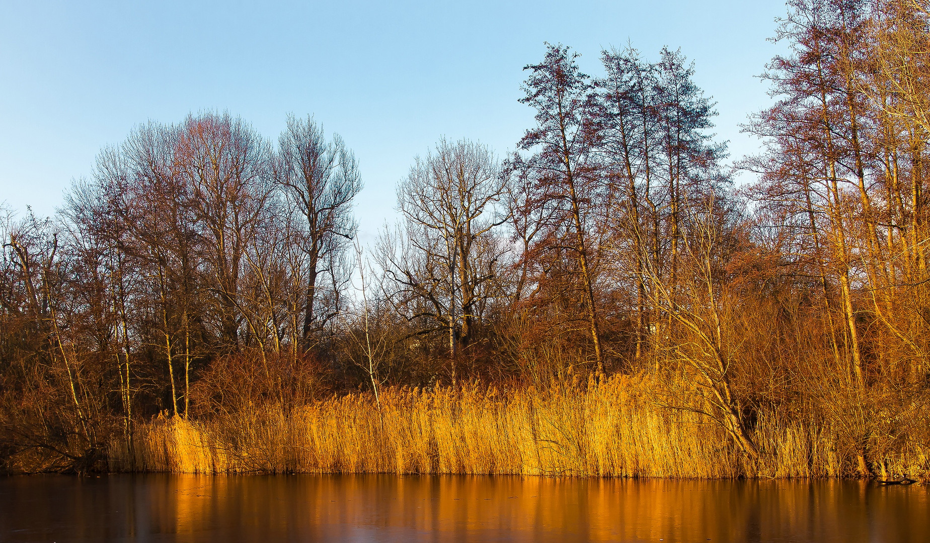 Winter am städtischen Park-See