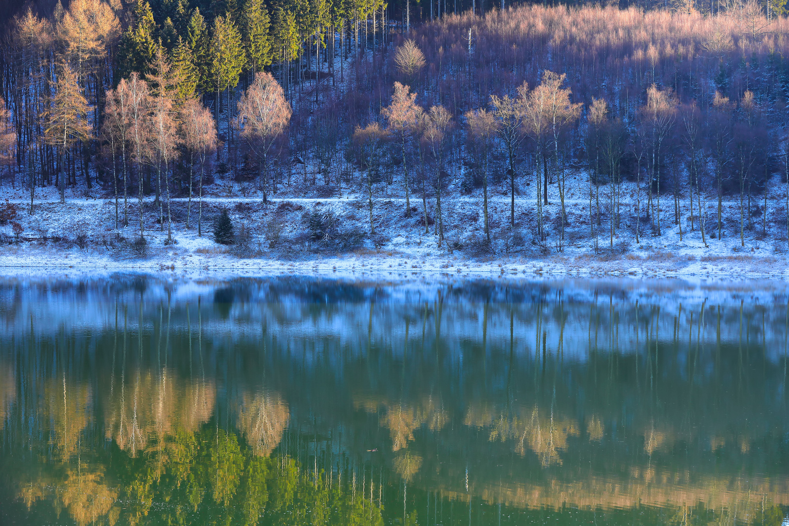 Winter am Stausee