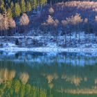 Winter am Stausee