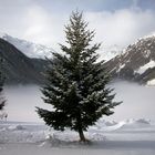 Winter am Stausee von Vernagt/Schnalstal