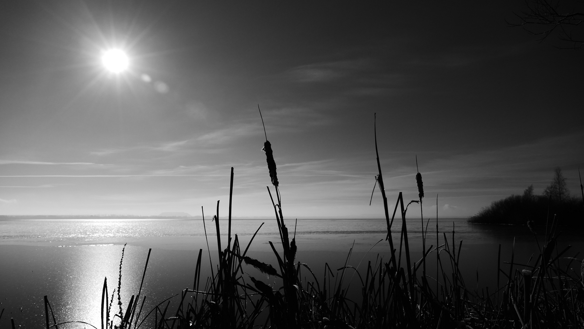 Winter am Steinhuder Meer