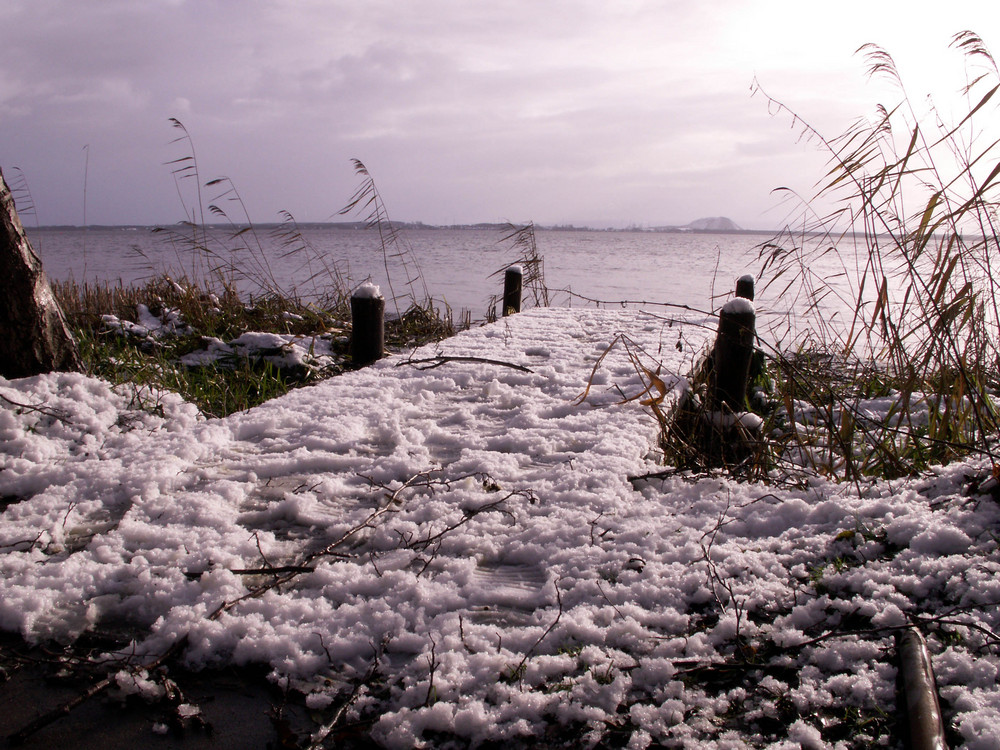 Winter am Steinhuder Meer