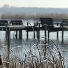 Winter am Steinhuder Meer