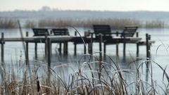Winter am Steinhuder Meer