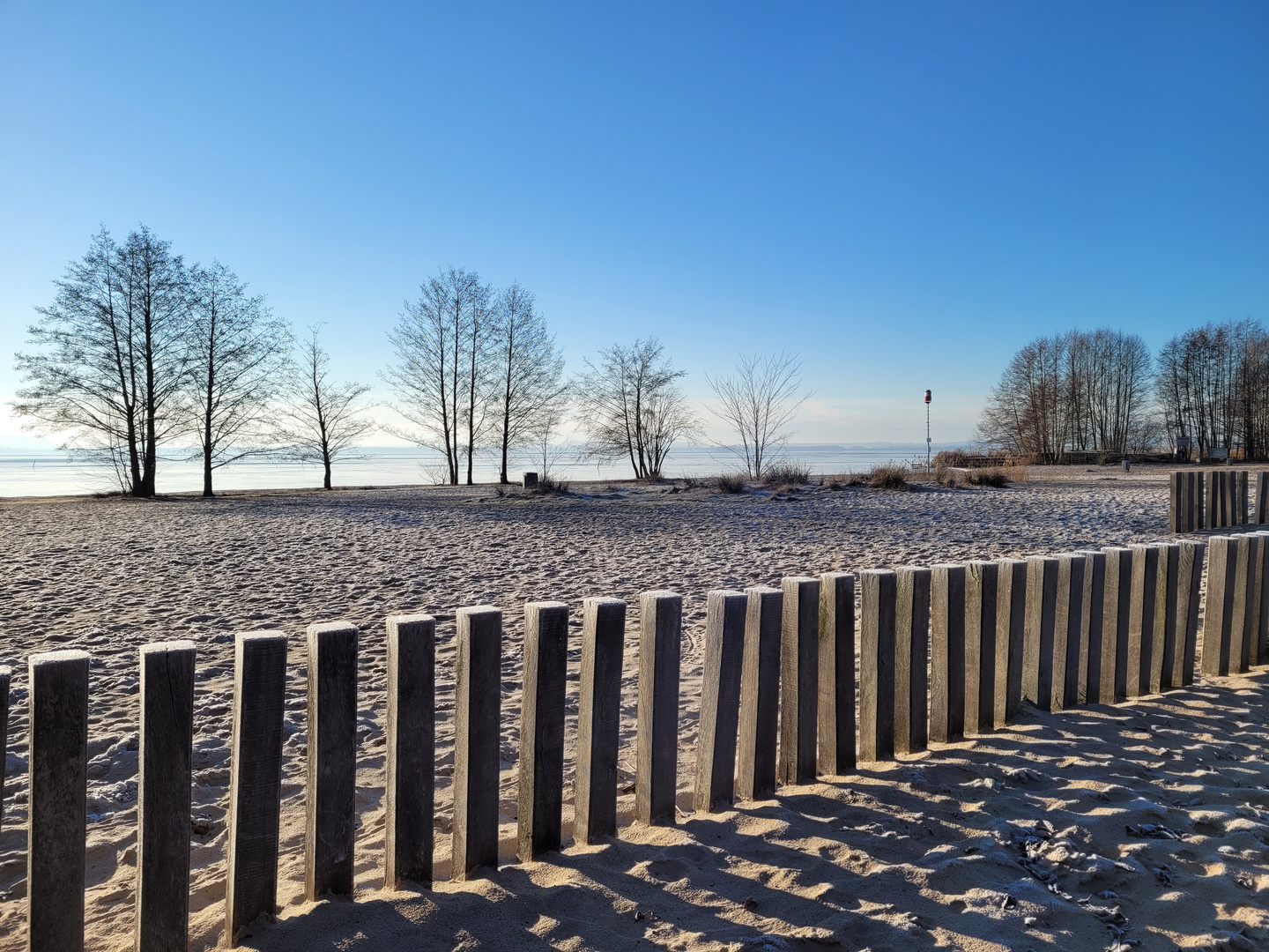 Winter am Steinhuder Meer