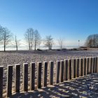 Winter am Steinhuder Meer