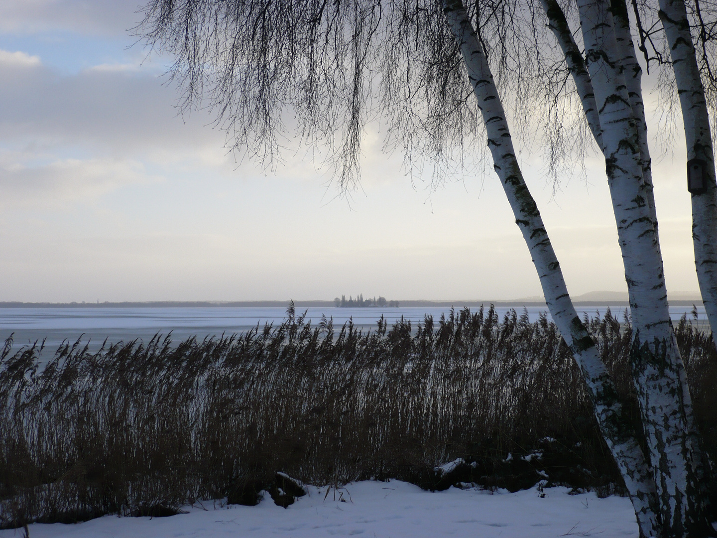 Winter am Steinhuder Meer