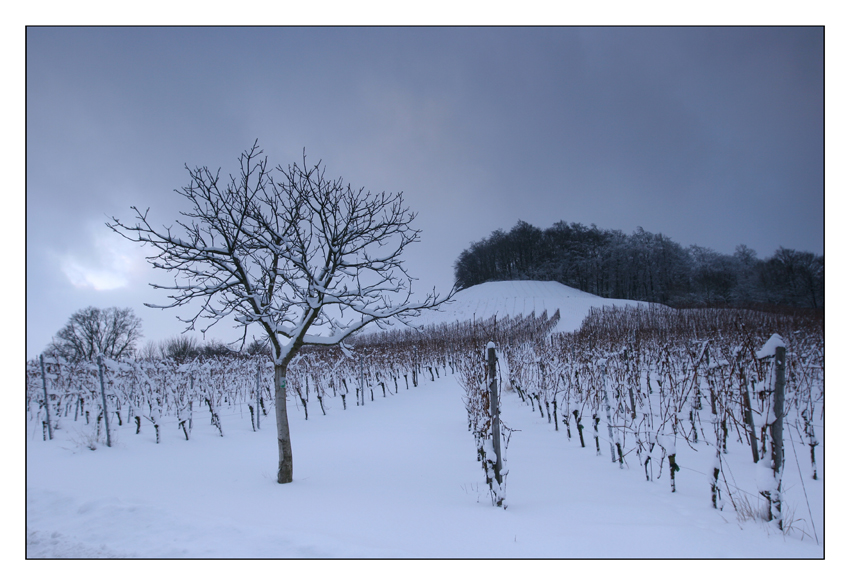 Winter am Stollberg