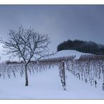 Winter am Stollberg