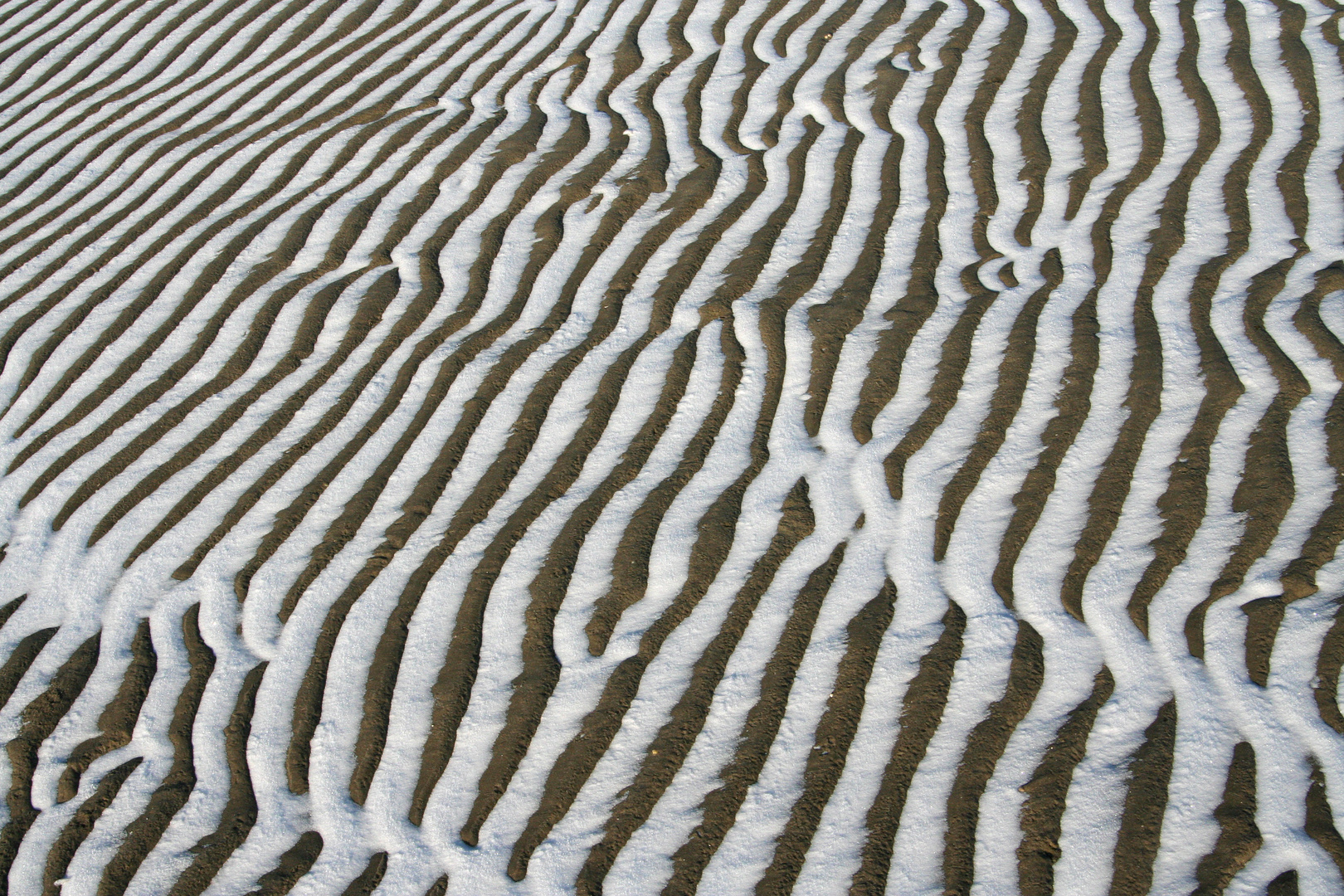 Winter am Strand