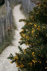 Winter am Strand