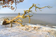 Winter am Strand 2