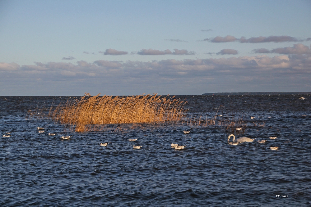 Winter am Strand