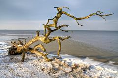 Winter am Strand