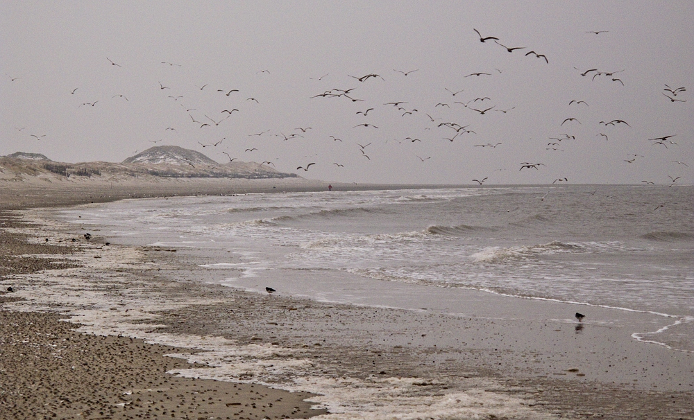 Winter am Strand