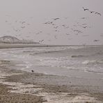 Winter am Strand