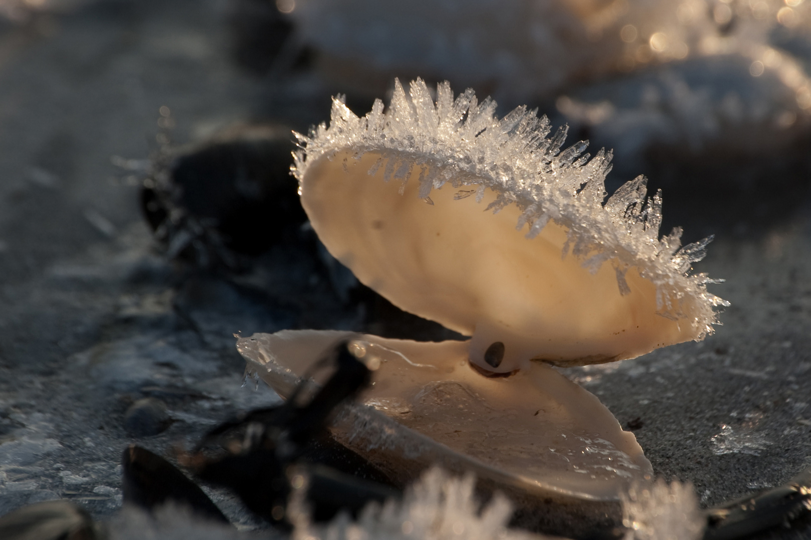 Winter am Strand