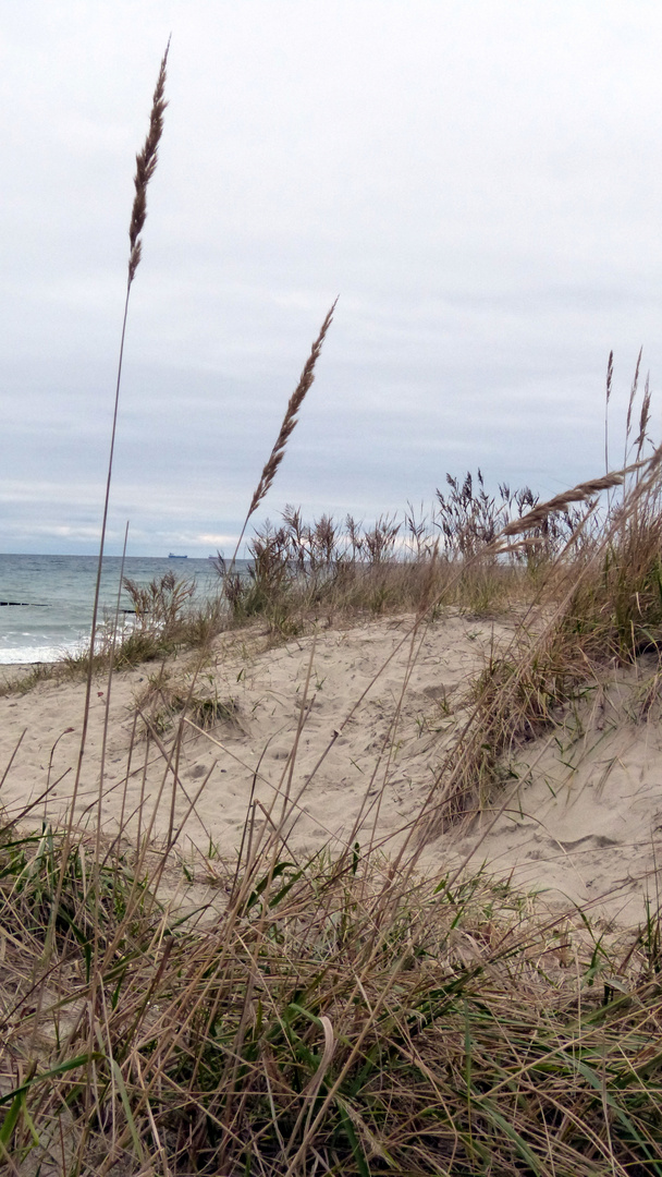 Winter am Strand