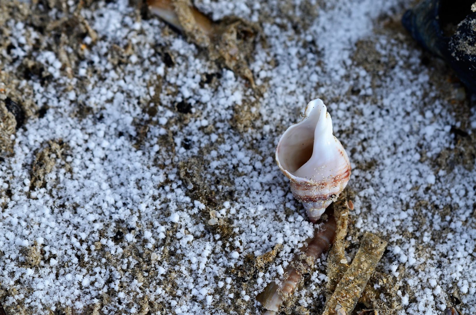 Winter am Strand