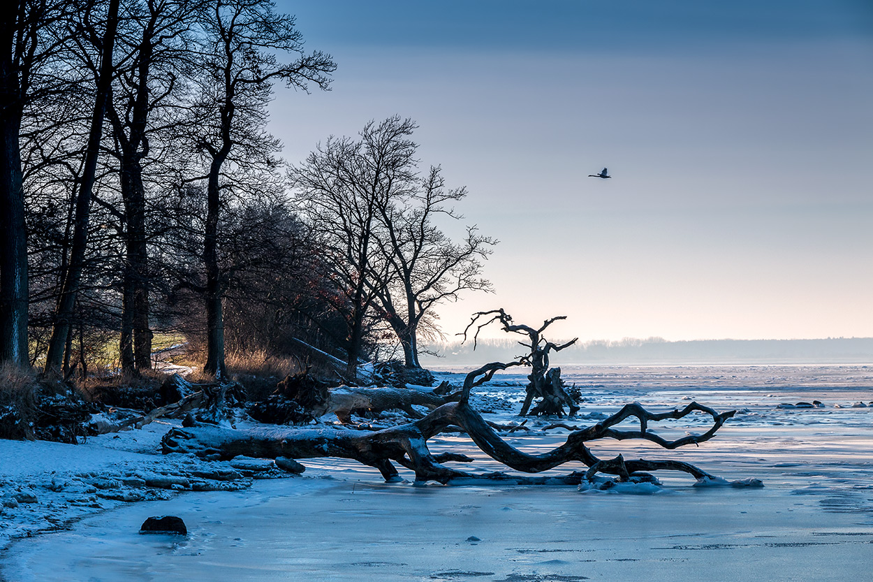 Winter am Strand